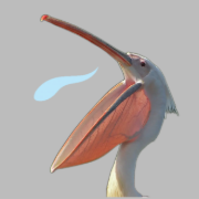 Chad Pelican